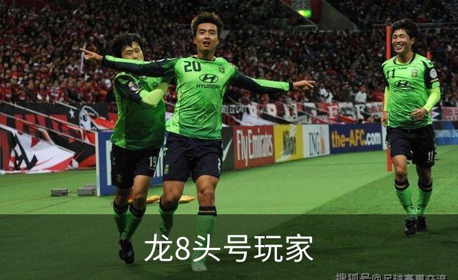走进龙8头号玩家